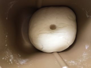 生煎包,将包子皮的原材一次性放入面包机，揉顺滑成面团，再密封发酵膨胀两倍以上，用手指在面团中心戳一个洞，面团不回缩，发酵就完成。