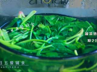 树叶蒸饺,菠菜放入热水中焯1分钟。
>>不需要焯的时间长，看见水有绿色就可以了。