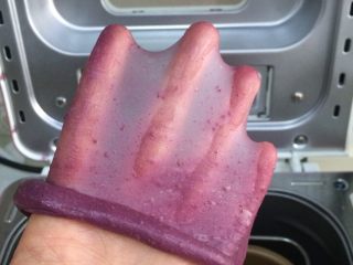 紫薯麻薯夹心软欧,继续揉20分钟至扩展阶段，可以拉出薄膜。