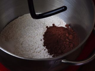 全麦可可长棍面包,全麦粉和可可粉放入厨师机内，加入盐。
