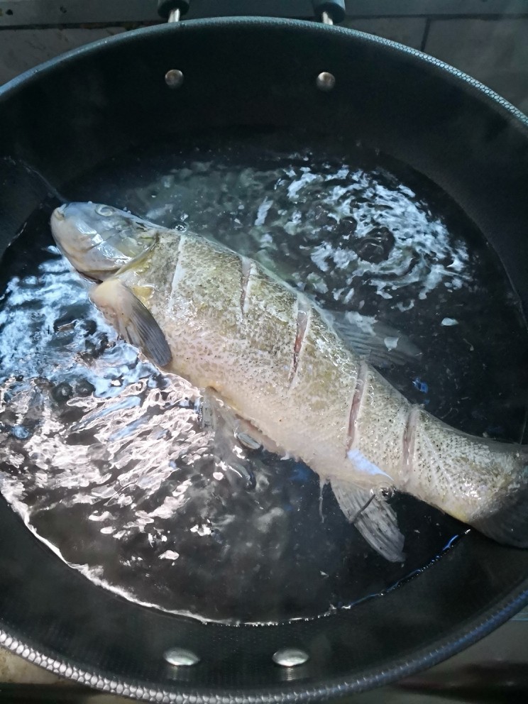 清蒸丁桂鱼,丁桂鱼放入开水中快速滚一下捞出沥水
