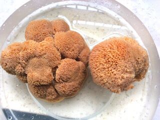 菌类料理+隔水炖猴头菇香菇排骨汤,干猴头菇冲洗一下，用温水泡发
