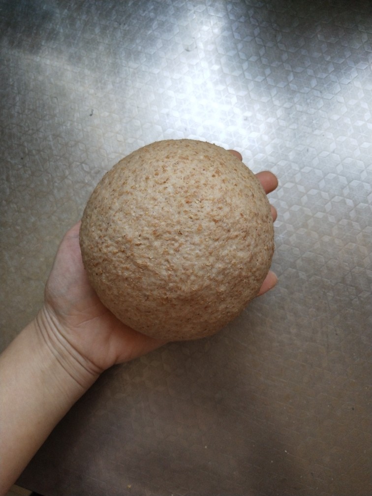 纯全麦～裸麦面包
(王后全麦面粉),搓成光滑的面团盖上盖子进行一次发酵至两倍大