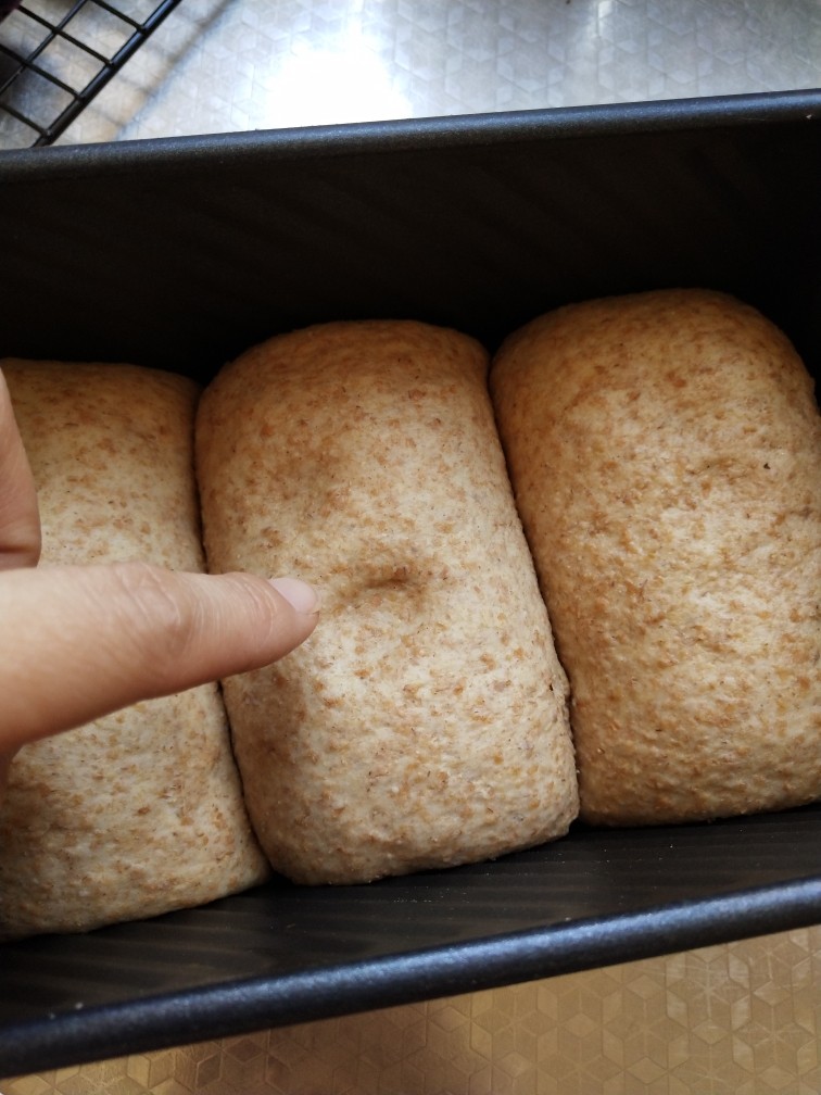 纯全麦～裸麦面包
(王后全麦面粉),用手指轻戳表面有痕迹慢慢回弹即可烘烤