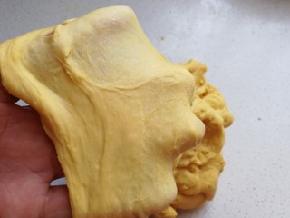 黄金南瓜小方卷,揉面至出现粗膜状态后，再加入室温软化黄油继续揉面