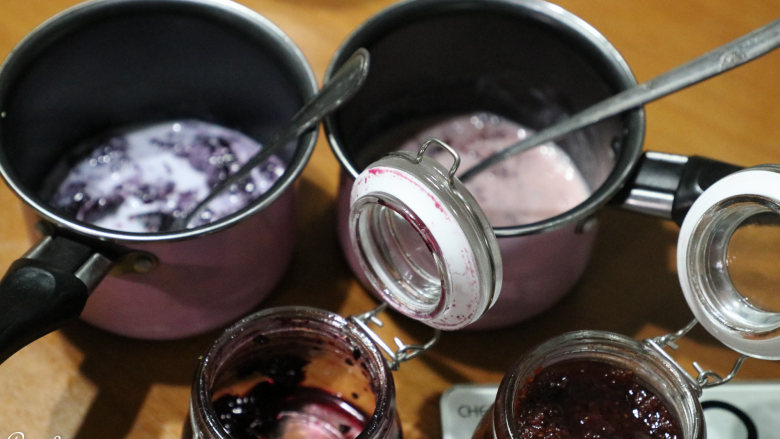 拼色慕斯,慕斯液：把蓝莓酱，树莓酱，巧克力分别用容器装好，再各自加入100克牛奶中，（纯牛奶100*3就是用在这里的）