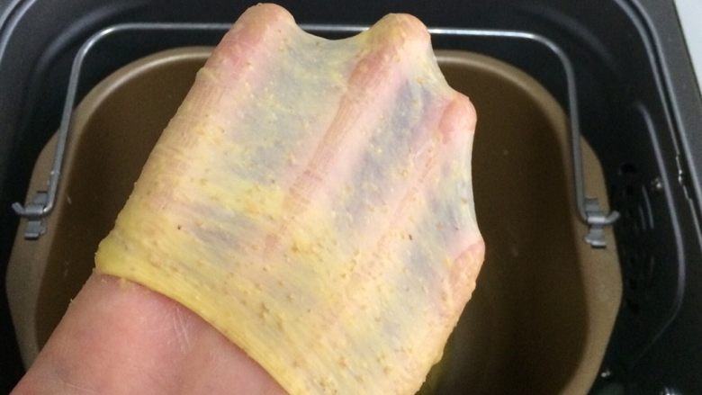 南瓜麻薯软欧包,继续揉20分钟至扩展阶段，可以拉出薄膜。