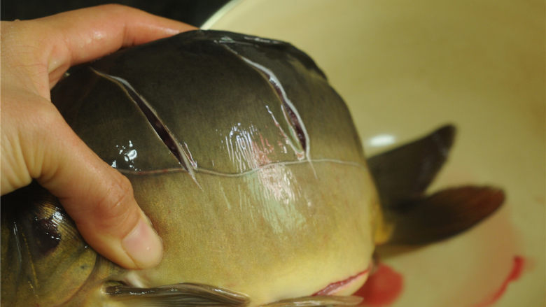 紫苏蒸桂鱼,桂鱼两侧用刀割出几条口子