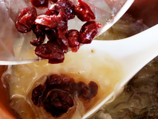 养颜桃胶银耳羹,蔓越莓和冰糖放入煲汤锅中，再接着煮到喜欢的浓稠感。