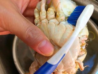 葱姜炒蟹,用刷子把三眼蟹表面刷干净，剪掉腹腔
