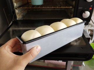 蘑菇头吐司+面包棍,这个时候蘑菇头也差不多了，发酵到高出模具3厘米或者5厘米，不要发的太矮烤出来没效果，也不要发太高发酵过度