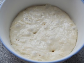 奶酪包（中种法）,第二天拿出，发酵至2.5倍大