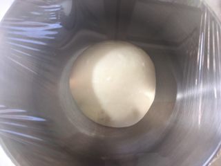火腿肠面包,将面团揉均匀，盖保鲜膜室温发酵至两倍大