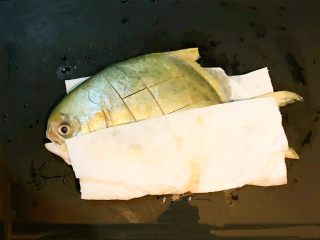 美味金昌鱼   酱香金鲳鱼,用厨房用纸吸干鱼身的水份