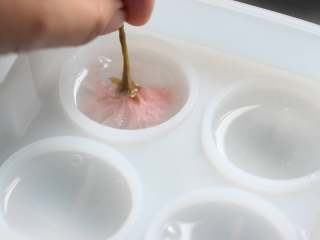 樱花水信玄饼,模具里先加入一半的液体，根据樱花大小，选择放一朵或二朵樱花，花朵花瓣朝下放入，上下按压使花瓣自然舒展开。