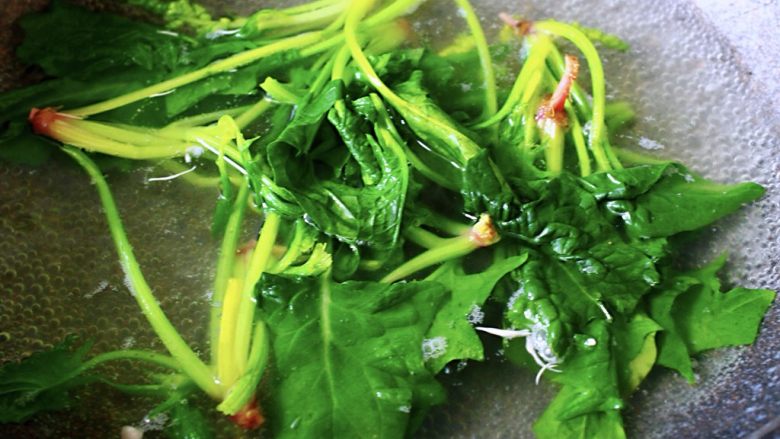 菠菜白玉菇虾皮汤,买菠菜要选这种红根的，比白根的营养更丰富，味道也要更好一些，菠菜洗净后焯水沥干水分备用