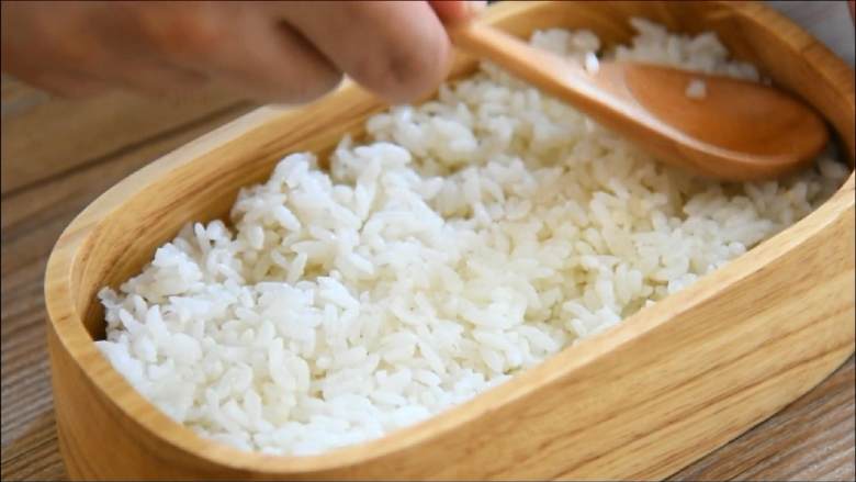 出游便当盒—带上便当野餐去啊,便当盒盛入米饭，铺平。