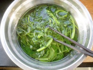 花生米拌菠菜,捞出过一下凉水，挤干水份