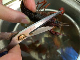 蒜泥小龙虾,小龙虾浸泡好，剪掉虾头的上半部分