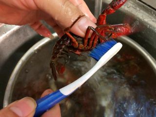 蒜泥小龙虾,用刷子刷干净虾身，全部刷好洗干净沥水待用