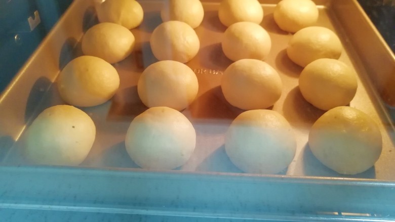 酸奶小餐包,烤箱调至“发酵”功能，放入小餐包生胚，烤箱下管35度发酵40分钟。