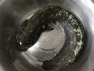 红烧鲶鱼,这个就是鲶鱼，头上有4根须，没有鱼鳞，没有小鱼刺，身体上都是黏液，摸上去滑滑的。