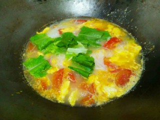 番茄鸡蛋粉丝,粉丝煮到用筷子可以夹断，放油麦菜烫一烫。