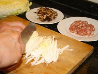 炸春卷,瘦肉切丝，香菇切条状，大白菜切丝（不需要太细）