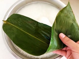 北方传统粽子,取一片粽叶，下端上卷