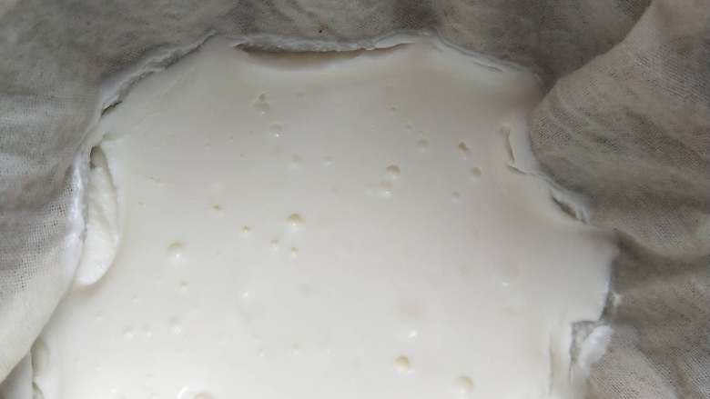 低脂抹茶豆腐挞,脱水后的酸奶会变得非常的浓稠