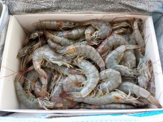 恨不能吮手指的好味➕茄汁油焖大虾,天猫买的青岛海虾，新鲜海捕，速冻发货，第二天就到了噢，很不错👍