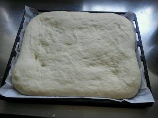 肉松面包卷【汤种法】,发酵好的面饼