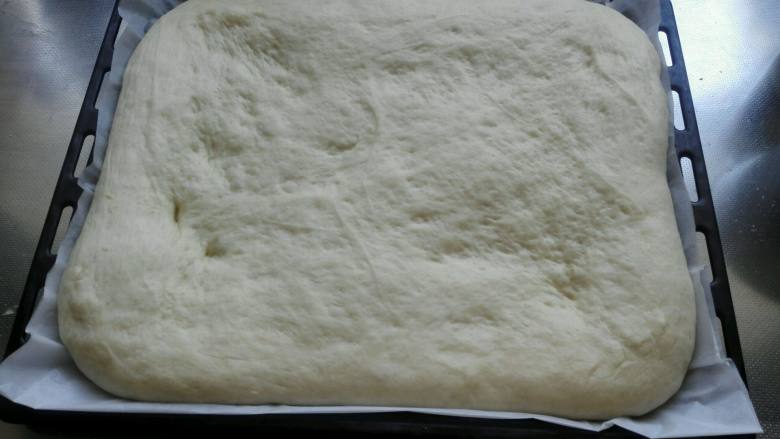 肉松面包卷【汤种法】,发酵好的面饼