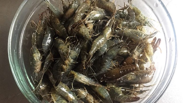 醉虾 —— 夏日极品 鲜美无比,把洗干净的河虾沥干水，倒入容器中