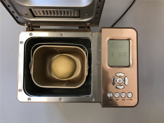炼乳奶酪小餐包,将面团收圆，放入面包机内进行基础发酵，30分钟左右。