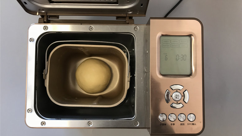 炼乳奶酪小餐包,将面团收圆，放入面包机内进行基础发酵，30分钟左右。