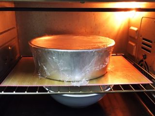 椰蓉面包条,放入烤箱发酵60分钟，底部放热水。