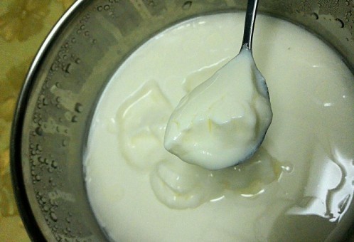网红鲜果炒酸奶,这是做好的状态， 酸奶凝固后，今天我们的酸奶换种吃法，请往下看