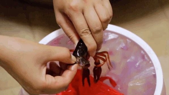 麻辣小龙虾
附：处理小龙虾超详细讲解！,在流水下用干净的刷子仔细刷干净每一只小龙虾，把泥土和脏污彻底去除，小龙虾就处理好了。