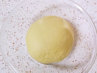 奶香吐司,揉好的面团整好形，放在大一点的盆里，盖上保鲜膜发酵2-3倍大。