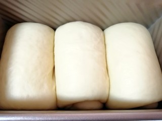 奶香吐司, 发酵好的吐司面包盖上吐司盒盖子，放入预热好的烤箱，上管150度下管170度烤40分钟。