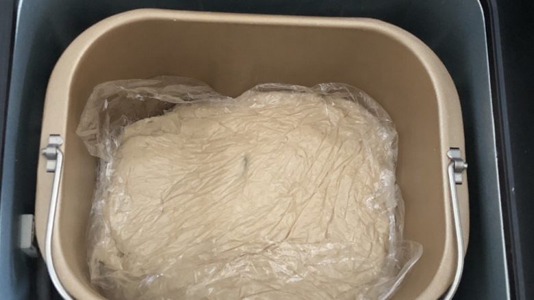 全麦豆沙软欧,整理铺平，盖上保鲜膜，发酵60分钟