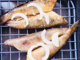 豉汁时蔬南极冰鱼,腌制好的鱼，放置到烤网上。在鱼身上放一些洋葱。量自由掌握