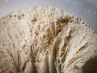 核桃枣馒头,发酵至两倍大，用一个手指蘸面粉戳一个洞面团不回缩不塌陷就是发酵好了。发酵好的组织呈蜂窝状。
