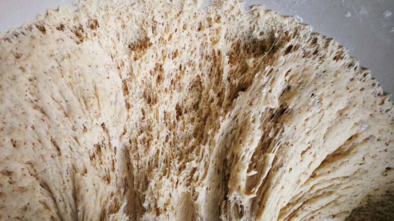 核桃枣馒头,发酵至两倍大，用一个手指蘸面粉戳一个洞面团不回缩不塌陷就是发酵好了。发酵好的组织呈蜂窝状。