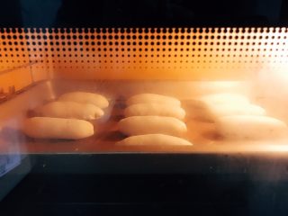 肉松小面包,烤箱底盘上放温水，发酵40分钟至两倍大