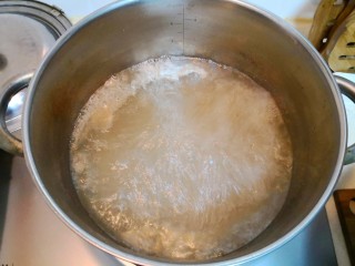 脆皮烤鸭,将一大锅水烧开。将鸭子放进去，浸不到水的地方用大勺子舀水淋在鸭子上（没人拍照，我不是八爪鱼😂）