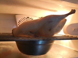 脆皮烤鸭,然后将鸭子放在烤架上，放入冰箱，正对风扇。