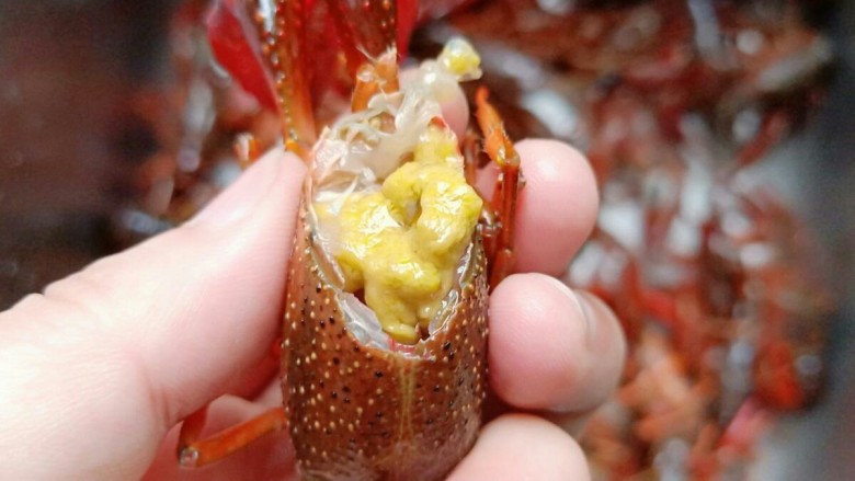 酱香小龙虾,再剪去龙虾的小虾脚，还有龙虾头部的三角位置。