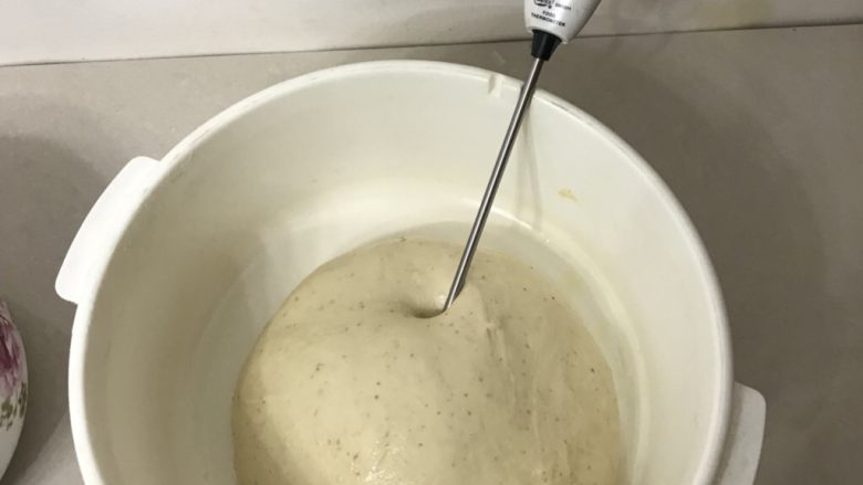 全麦小餐包,拿出来整圆放在发酵盆里，面温25.4 度刚好，盖上盖子直接室温下一发。